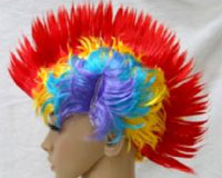 1970's Wigs