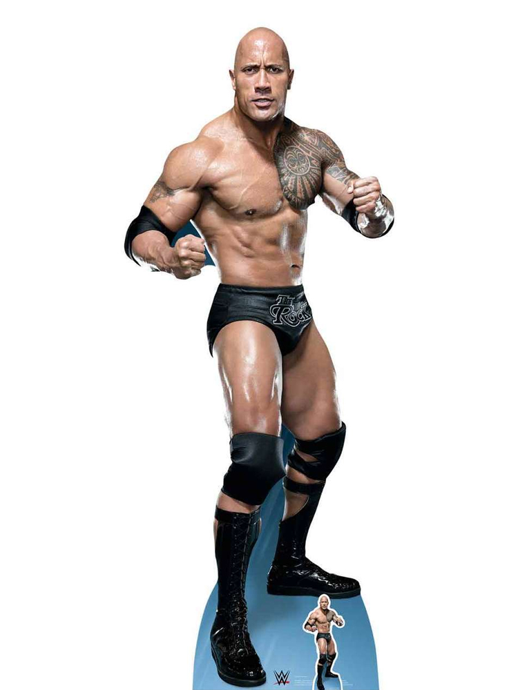 The Rock Dwayne Johnson WWE Wrestler Official Single 2D Card Party Fancy  Dress Mask