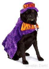 Doggie Fancy Dress Contest