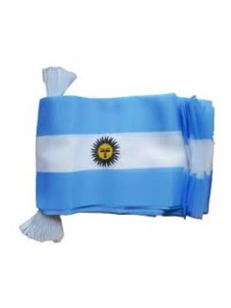 Argentina Bunting 6m 20 Flag