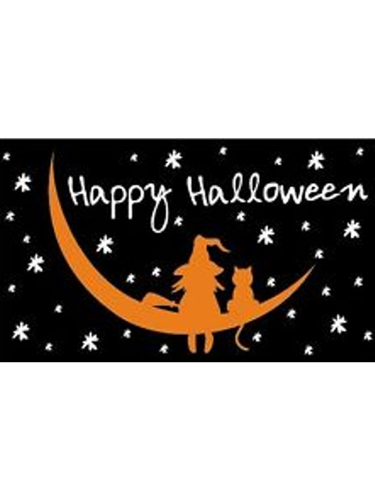 Happy Halloween Witch & Cat Flag 5ft x 3ft 
