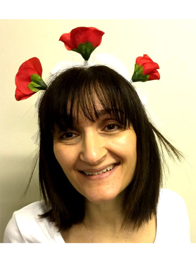 Hen Night Veil with Flowers