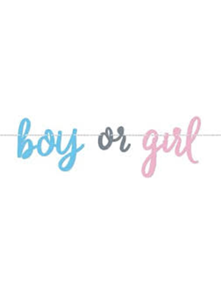 Gender Reveal Cardboard Banner