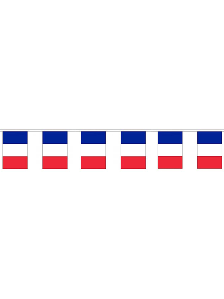 France Flag Bunting Rectangular Flags 6m long 20flags Polyester