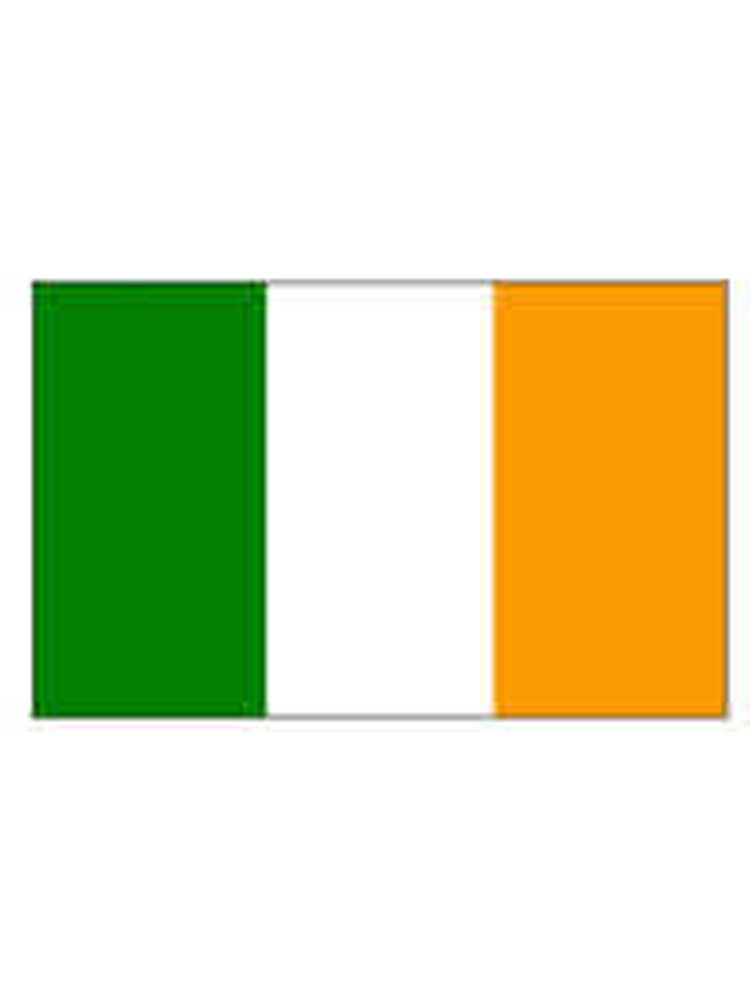 Ireland Rep Flag 5ft x 3ft   With Eyelets For Hanging