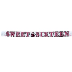 Sweet Sixteen Banner Glitter Fringe