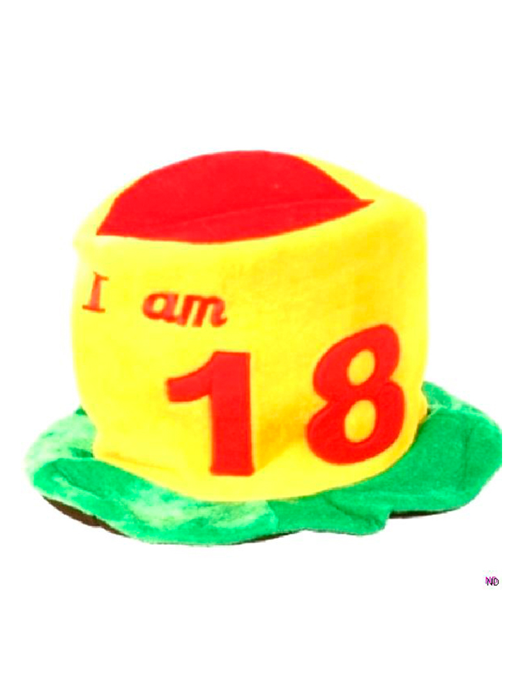 18th Birthday Hat