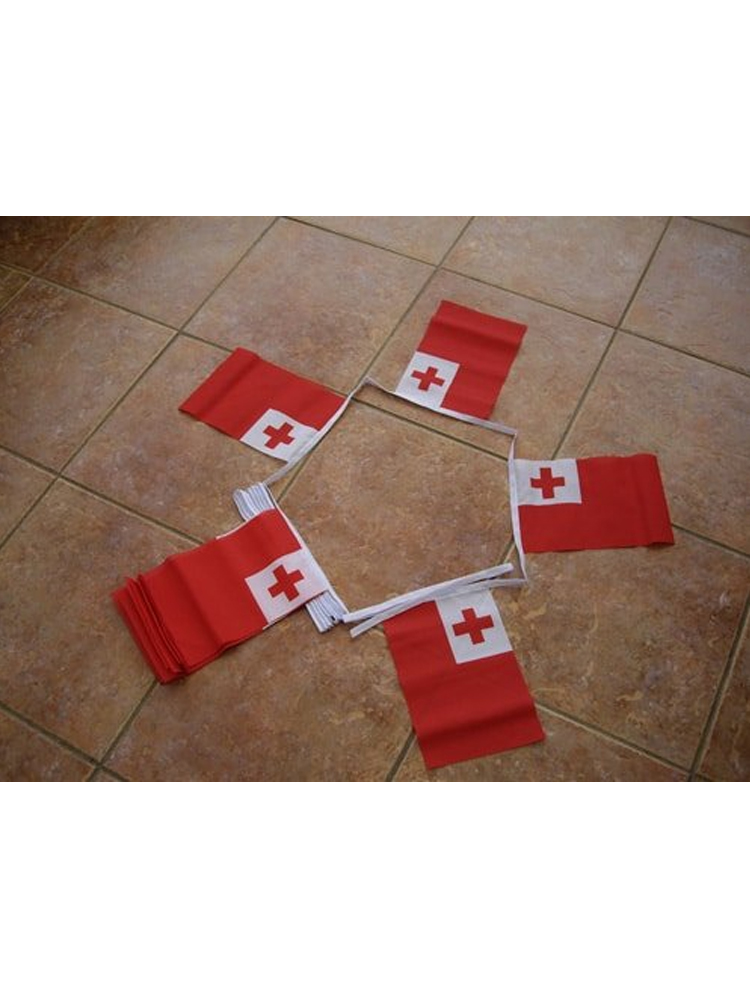 6m 20 flag Tonga bunting