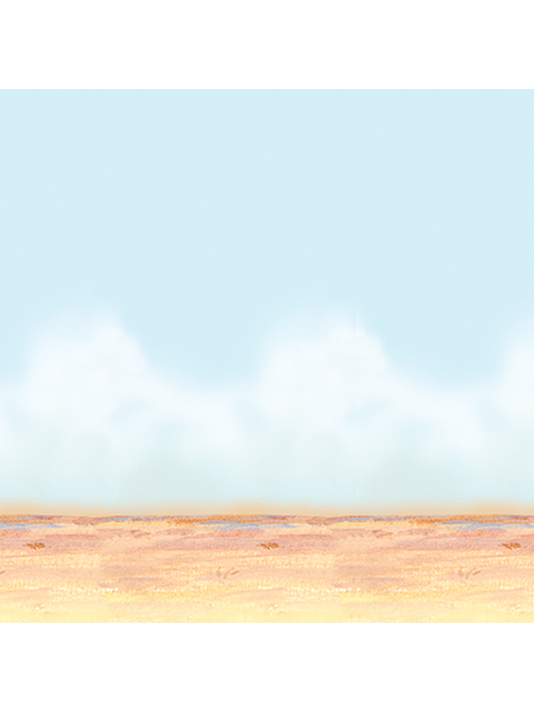 Desert Sky & Sand Scene Setter Backdrop