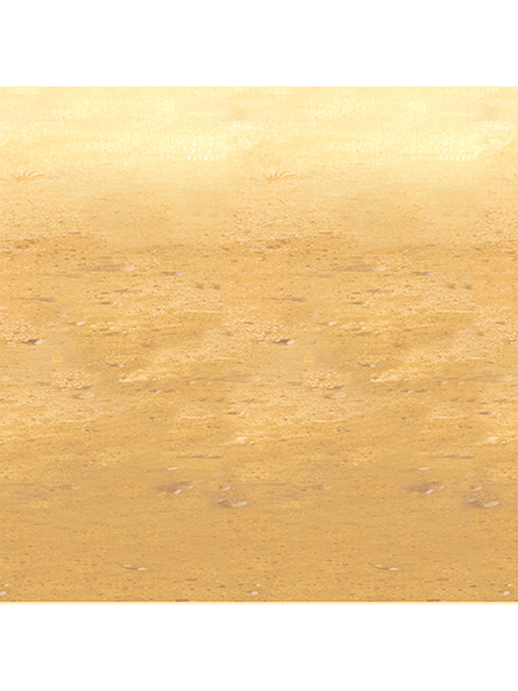 Desert Sand Scene Setter Backdrop 