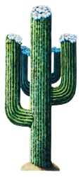Western Decoration Jointed Cactus 4.25ft high (1.3m)  