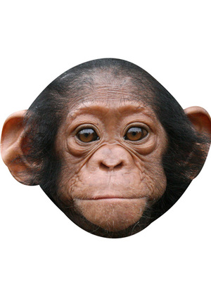 Baby Monkey (Child Size) Mask