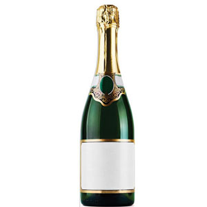 Champagne Bottle Cardboard Cutout