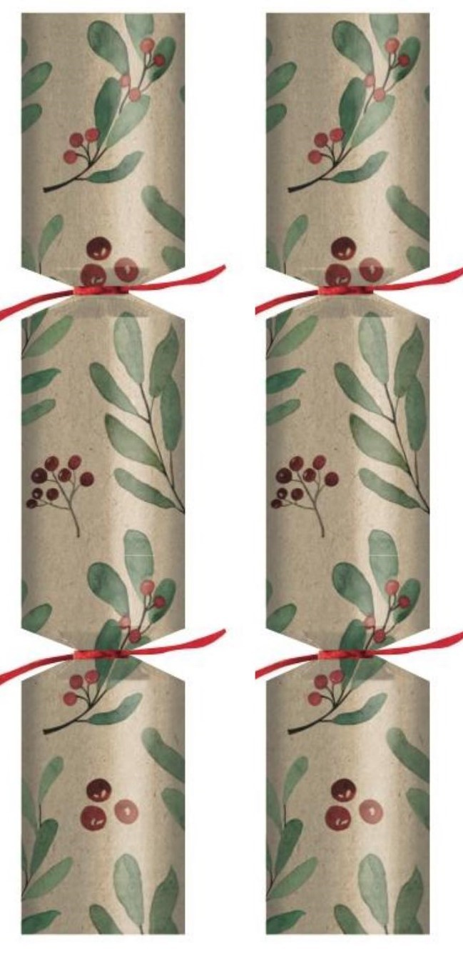 Leaves & Berries Eco Design Cracker (50)  