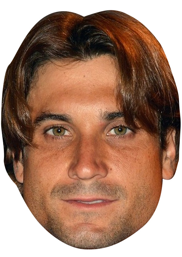 David Ferrer Mask