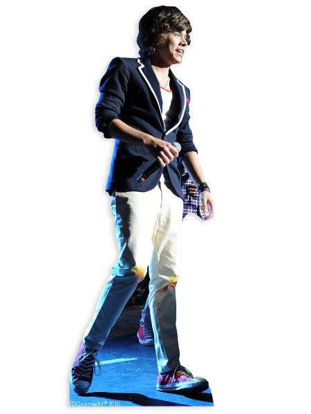 Harry Styles One Direction Lifesize Cardboard Cutout