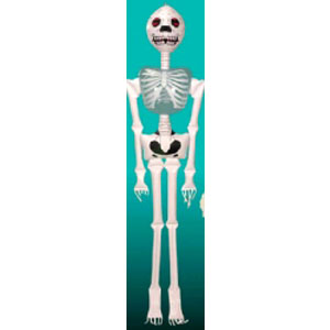 Inflatable Skeleton 