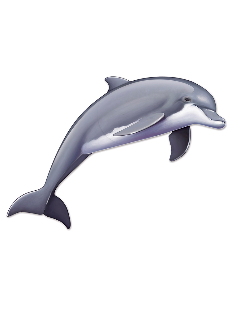 Jointed Dolphin