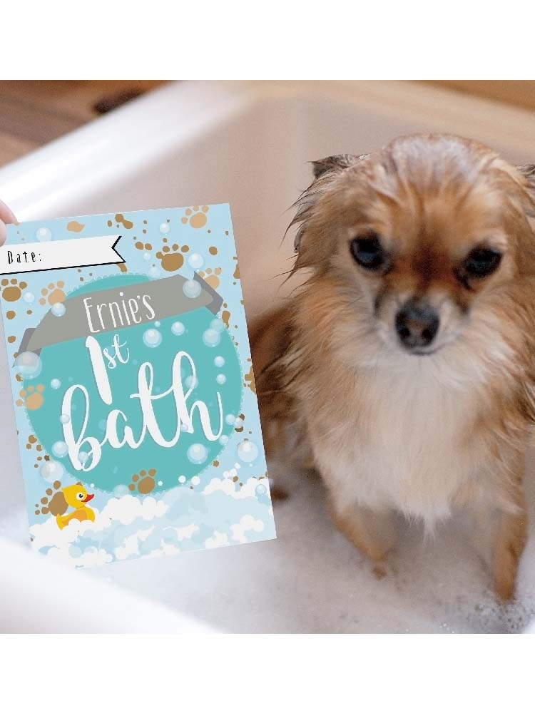 Personalised Puppy Cards: For Milestone Moments