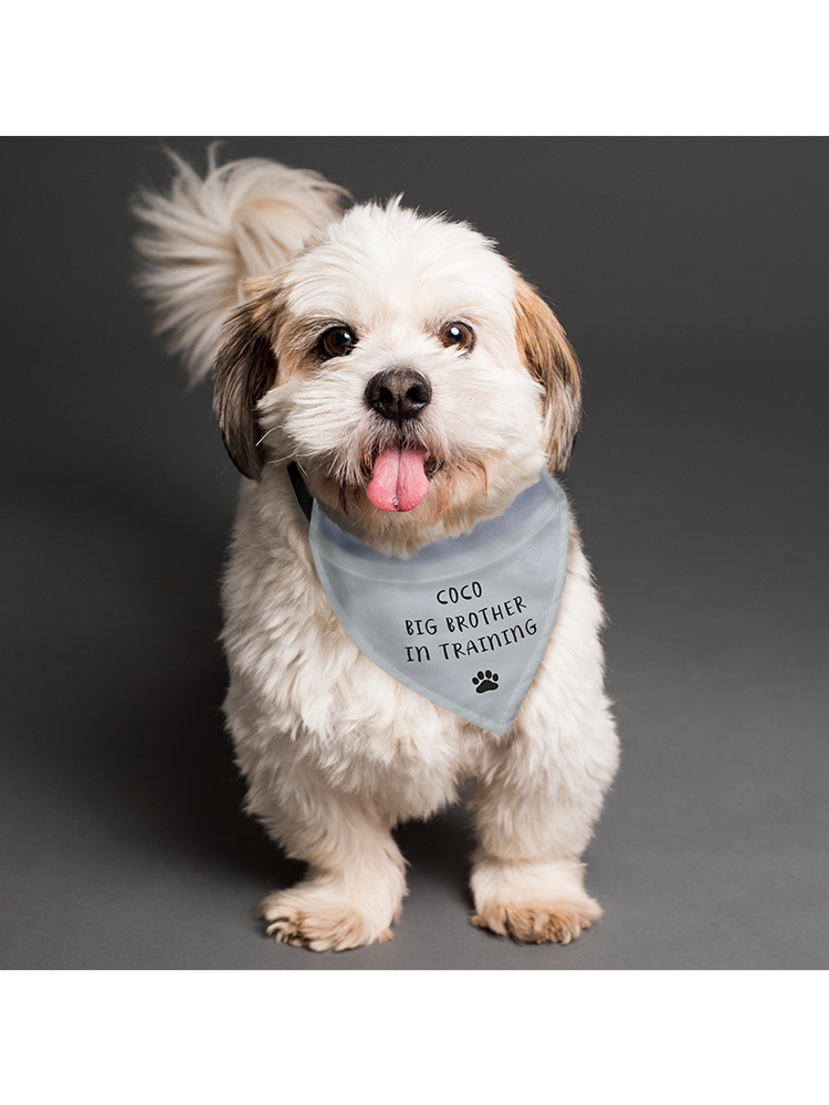 Personalised Dog Bandana