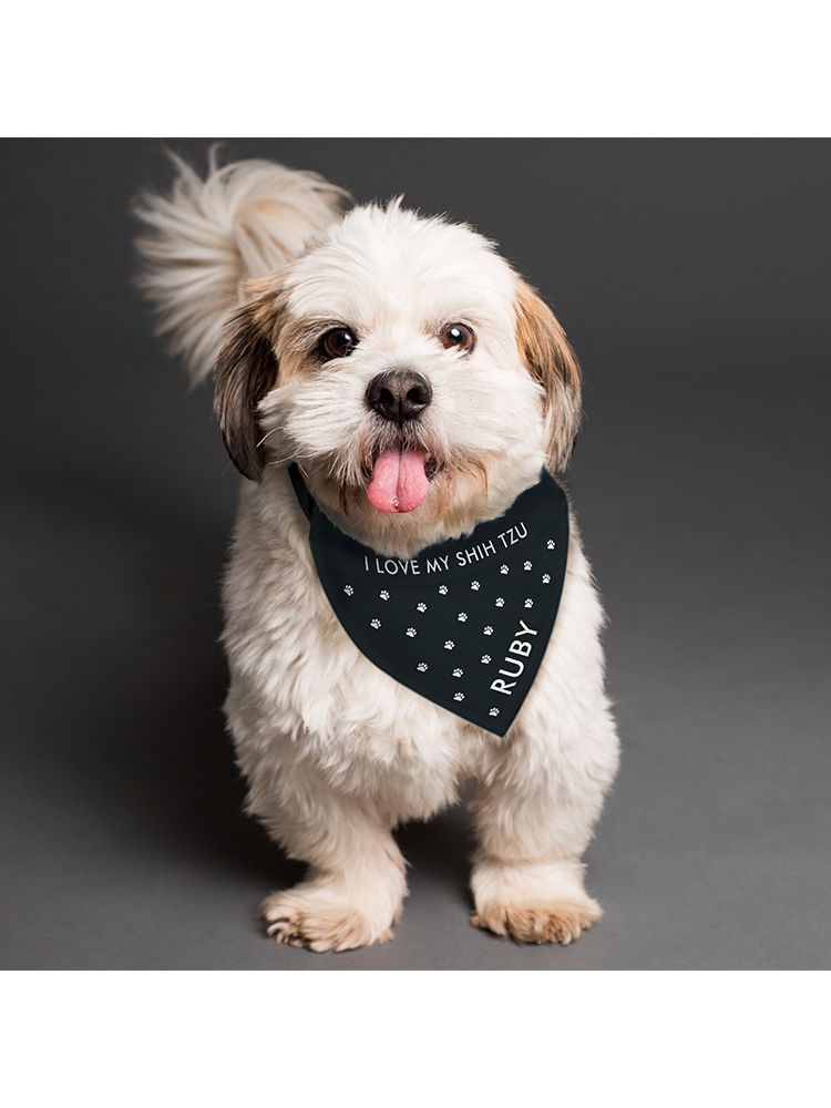 Personalied Paw Print Dog Bandana