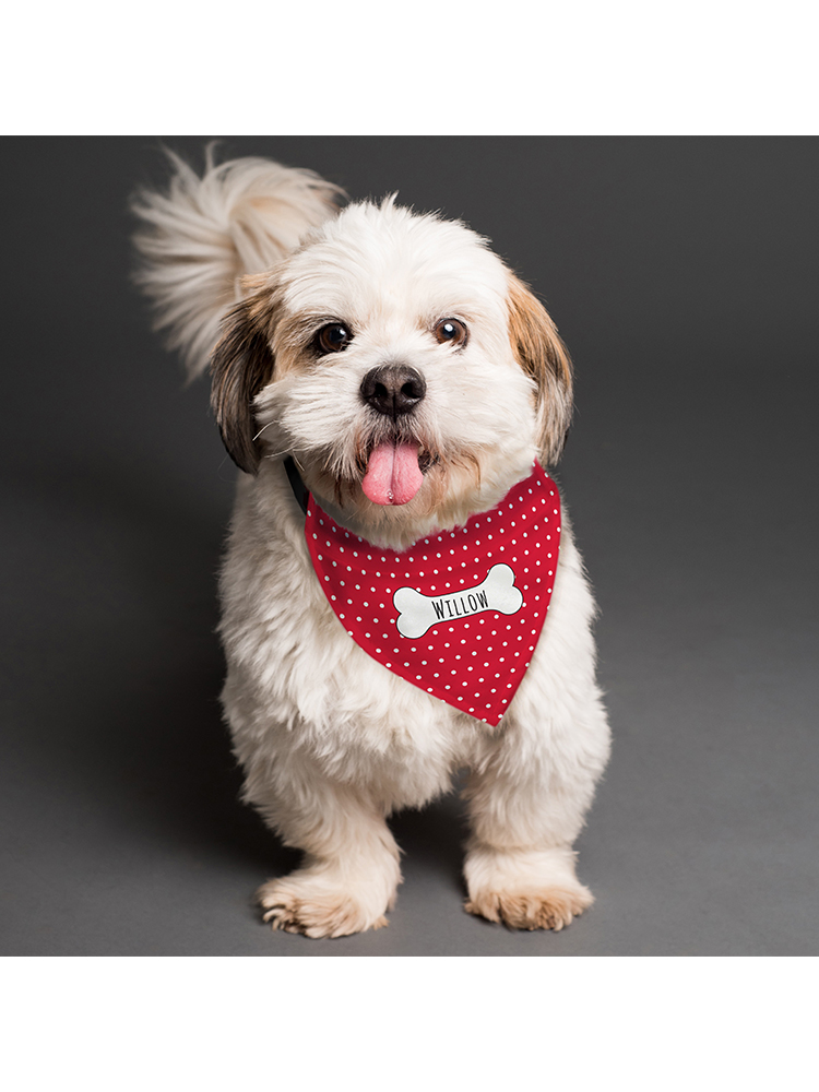 Personalised Red Polka Dot Dog Bandana