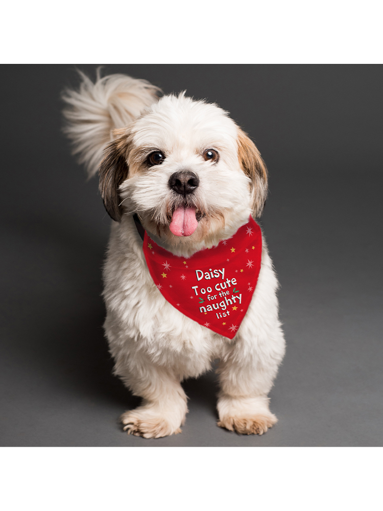 Personalised 'Too cute for the naughty list' Dog Bandana
