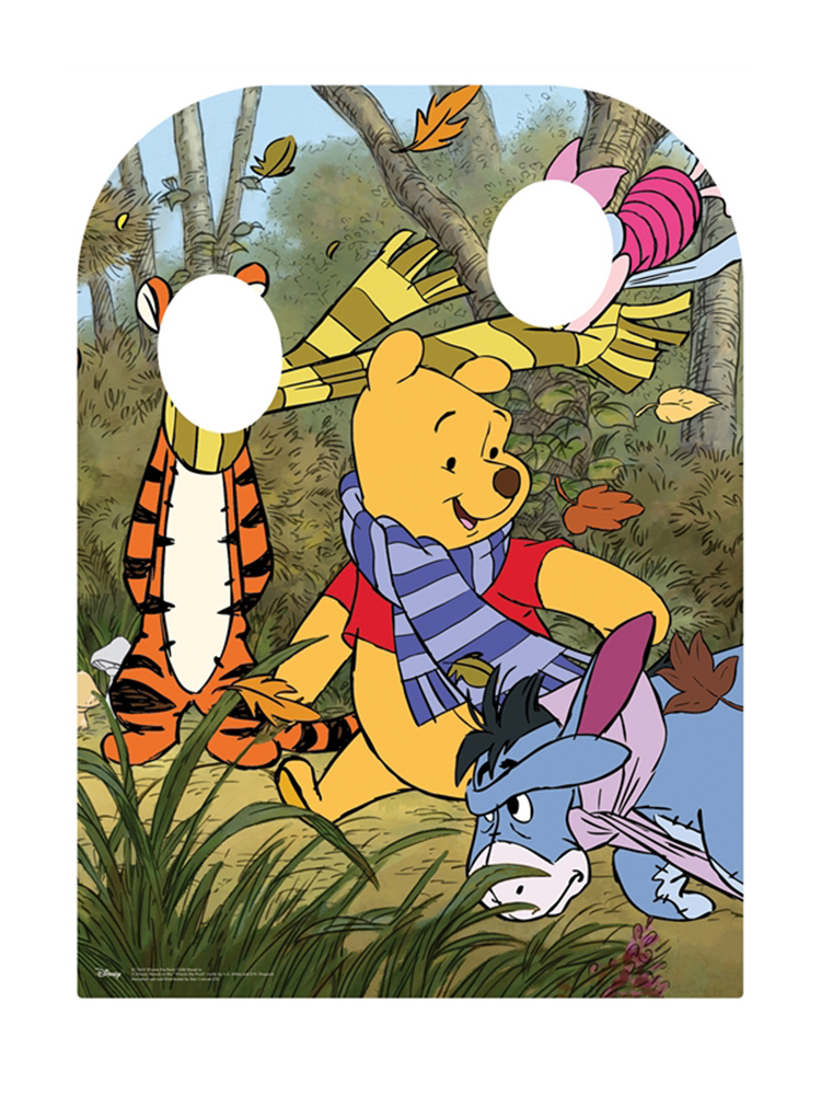 Winnie the Pooh Hundred Acre Wood With Friends Stand-in Child Sized
