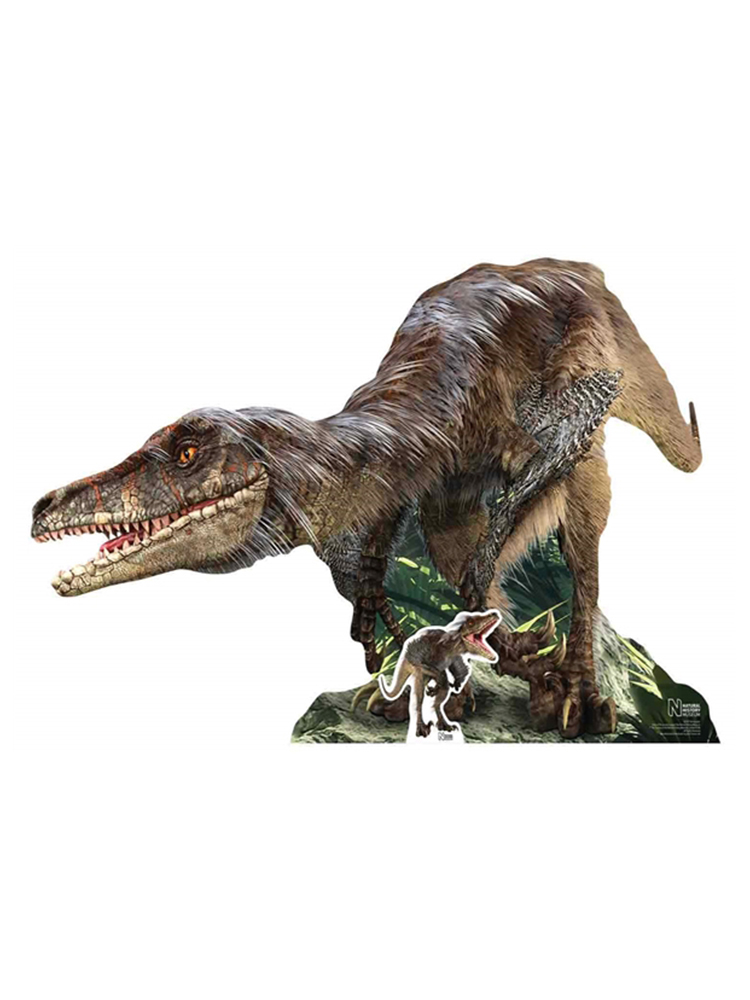 Velociraptor Natural History Museum with Mini Tabletop Dinosaur Cutout