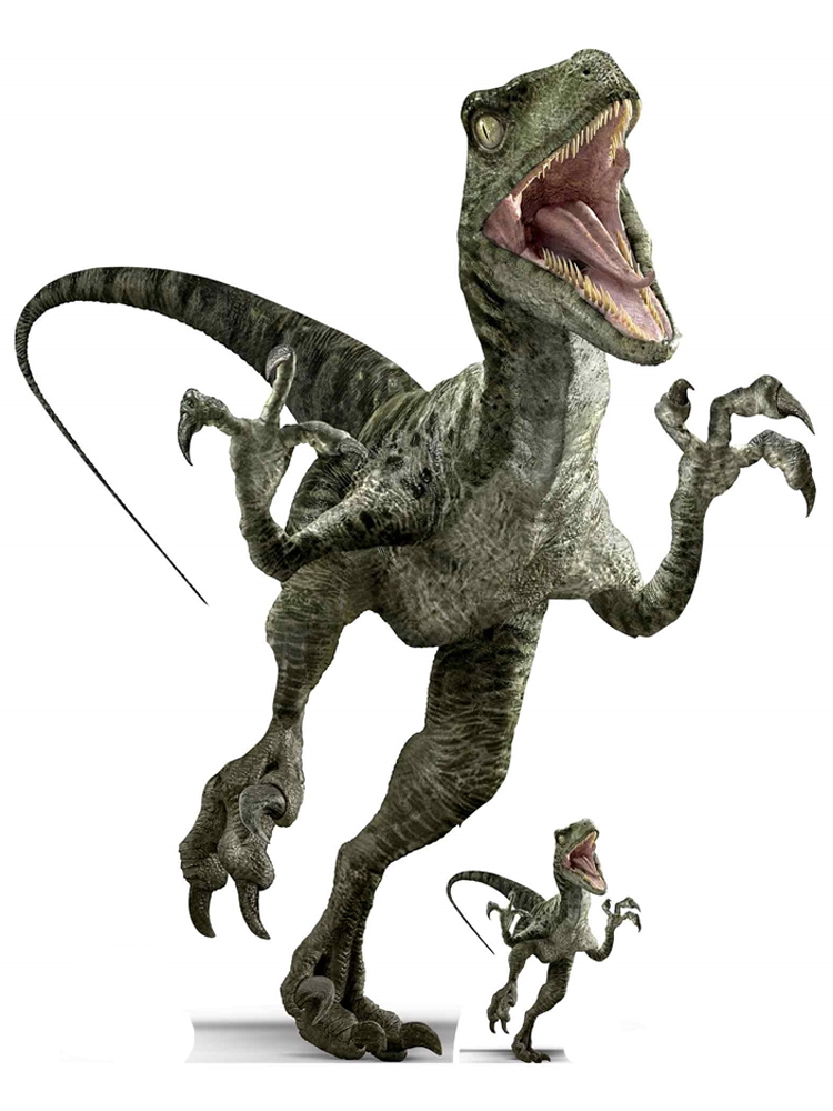 Official Jurassic World Charlie (Raptor) Dinosaur