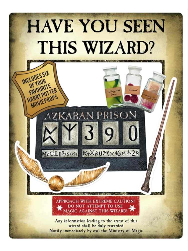 Gold Harry Potter Wanted Poster as Selfie Frame With Props 