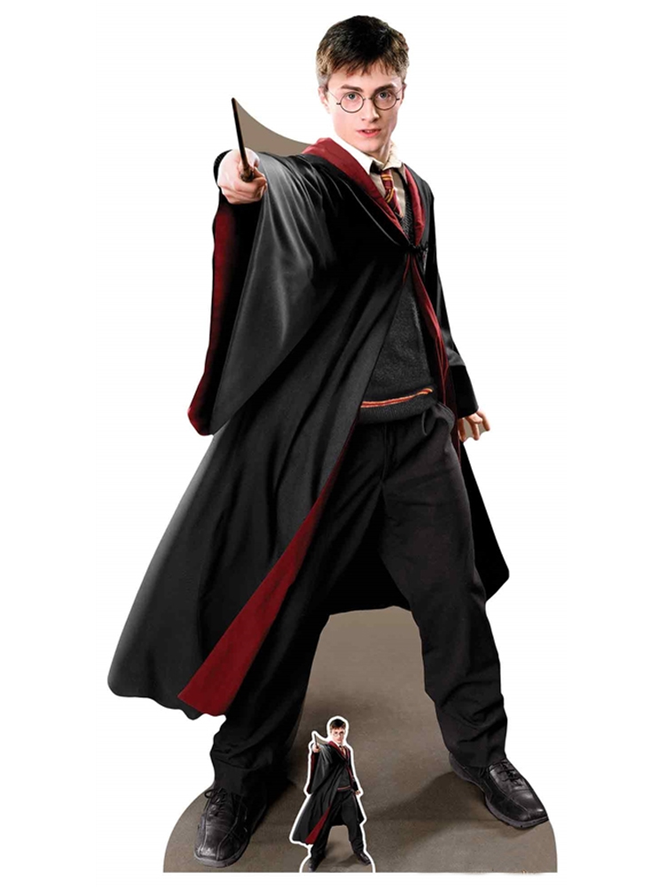 Harry Potter Quidditch Captain Cardboard Cutout 