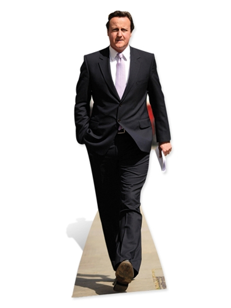  David Cameron (Tories)