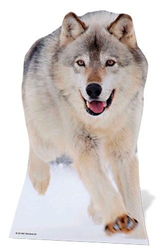 Wolf - Cardboard Cutout