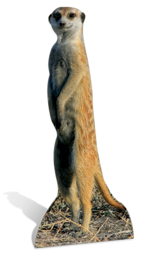 Meerkat - Cardboard Cutout