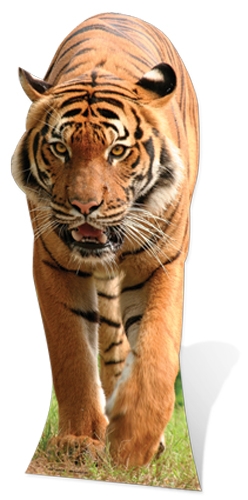 Tiger Cardboard Cut-out 