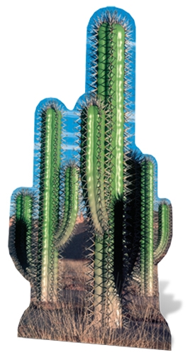 Cactus Group - Cardboard Cutout