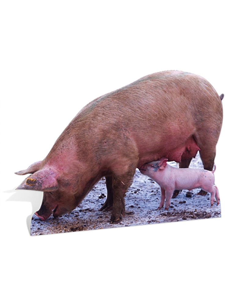 Pig and Piglet - Cardboard Cutout