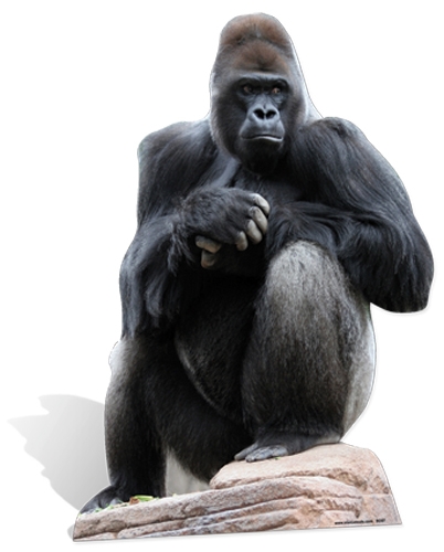 Gorilla Cardboard Cut-out 