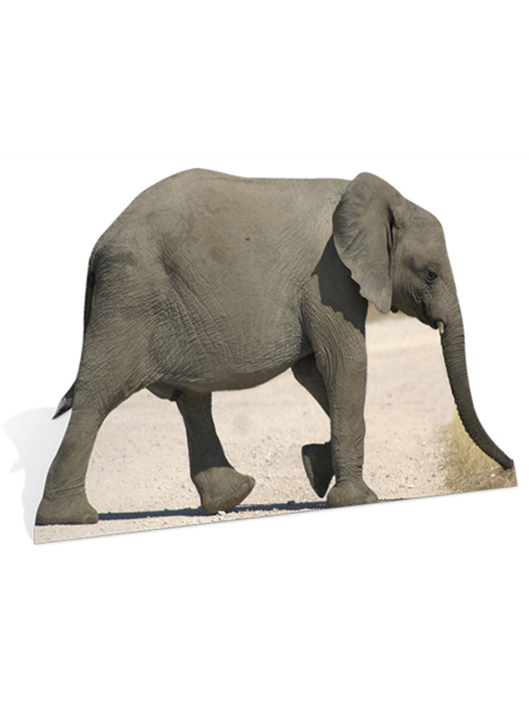 Baby African Elephant Cardboard Cutout