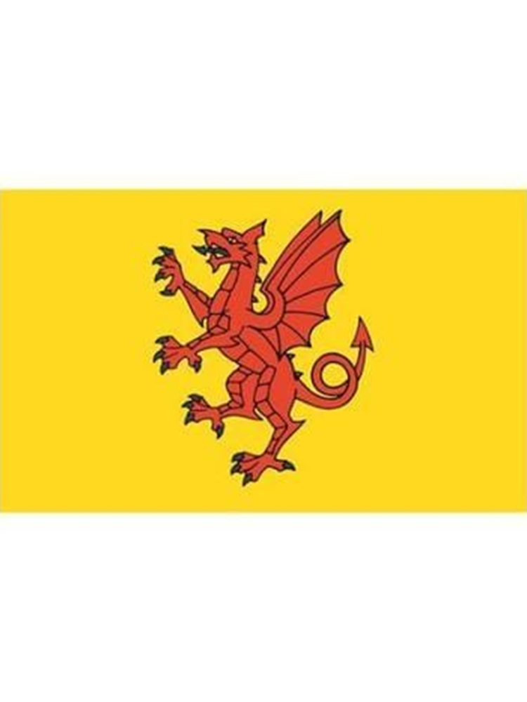 Somerset Flag 5ft x 3ft With Eyelets For Hanging