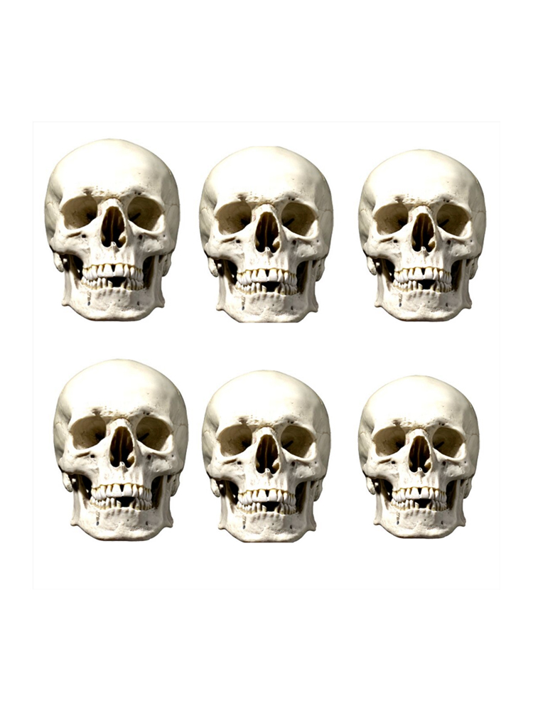 Skull Six Pack Face Mask 