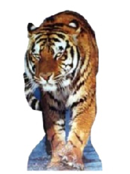 Tiger Cardboard Cutout 