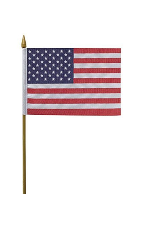 USA Hand Waving Flag 12" x 18" 