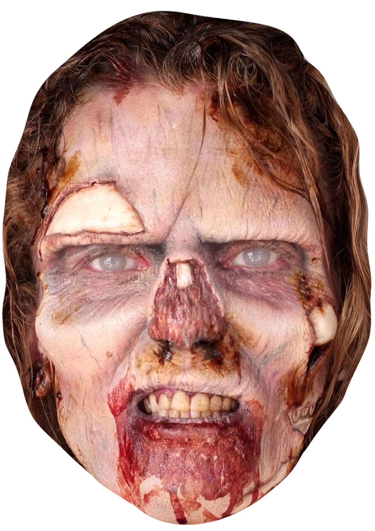 Zombie Woman - Cardboard Mask