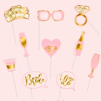 Hen Night Photo Props