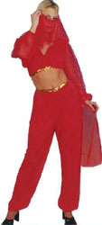 Harem Girl Fancy Dress Costume (12345)