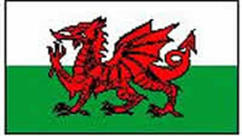 Wales/Welsh Flag 5ft x 3ft  (100% Polyester) With Eyelets For Hanging