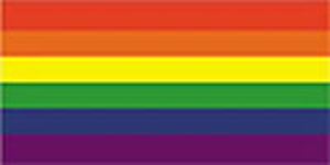 Rainbow (Gay Pride) Flag 5ft x 3ft With Eyelets 