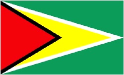 Guyana Flag 5ft x 3ft  With Eyelets For Hanging